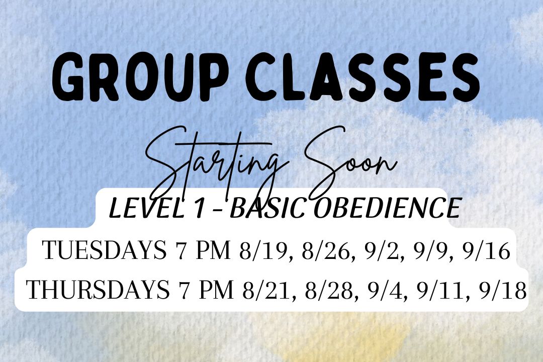 New August Group Dog Training Classes Now Enrolling | Basic Obedience Level 1