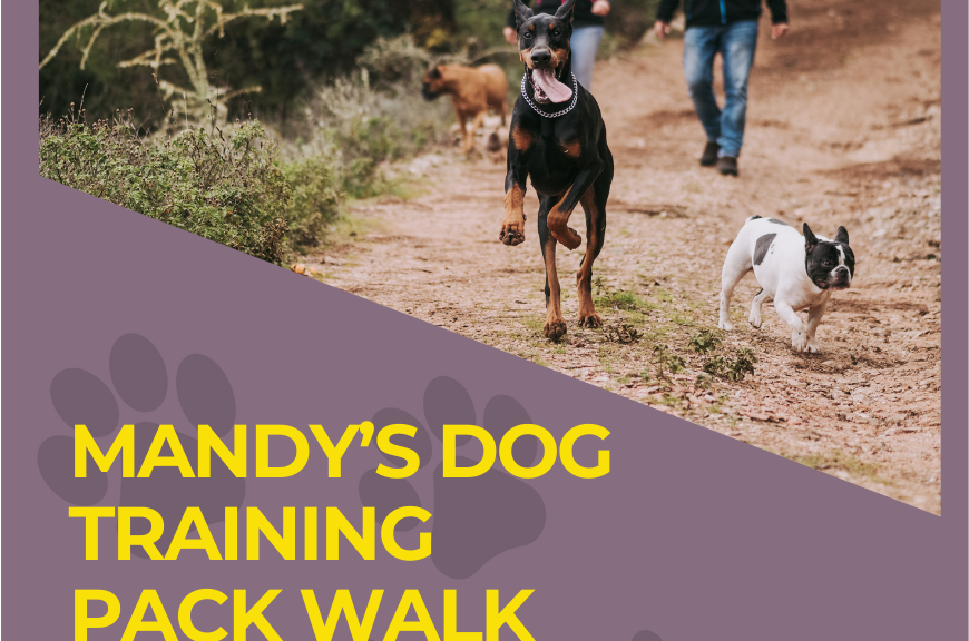 Join Us for Mandy’s Dog Training Pack Walk – September 14th in Park Ridge!