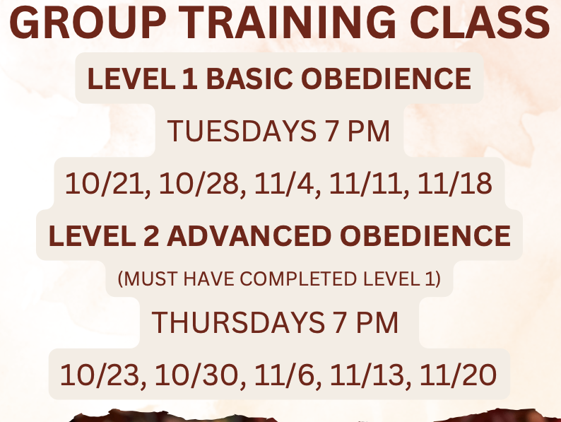 October Group Training Classes — Now Enrolling!