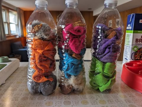 Winter Exercise and Mental Stimulation